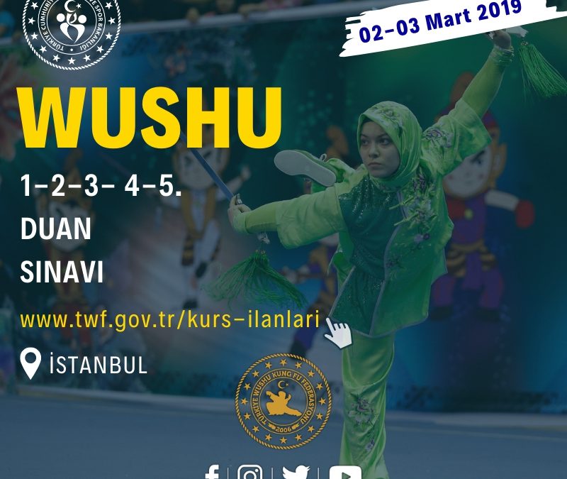 WUSHU KUNG FU 1-2-3- 4-5. DUAN SINAVI 