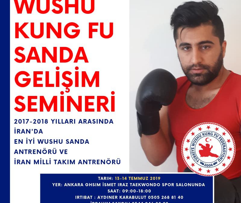 Wushu Kung Fu Sanda Gelişim Semineri
